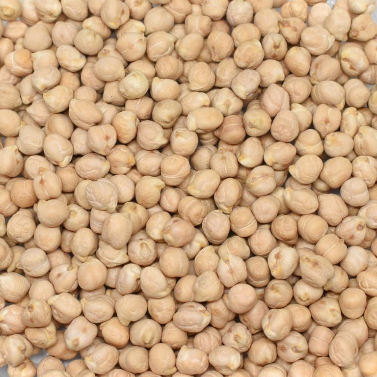 Aybak Nohut 8 mm ürününün görseli