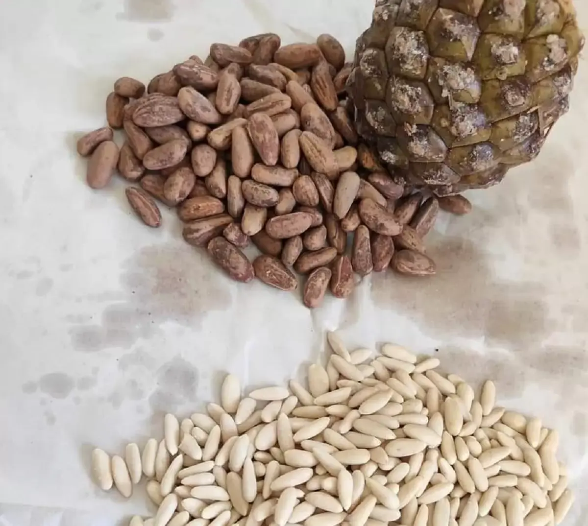 Green Blue Çam Fıstığı 1000 gr ürününün görseli